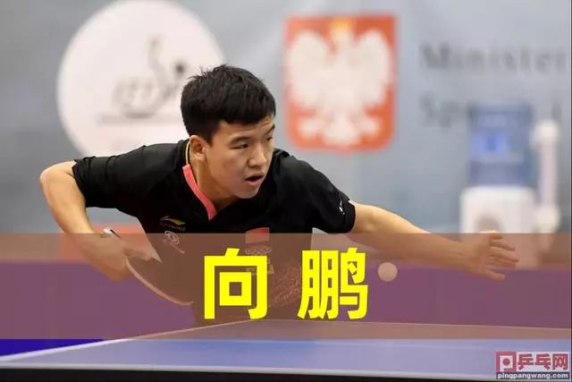 转会窗口寻 转会窗口寻